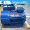 China Motor manufacturer Y2 3 Phase Induction Electric Motor ac motor