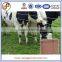 Wholesale  china good quality field bulk woven wire cattle fence / cattle field fence