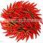 BEST EXPORTER OF BLACK PEPPER ESSENTIAL OIL