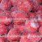 Best Price Frozen Fruit Strawberry Whole With High Quality