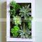 2016 Wall Mounted Artificial Succulent Plants Wall Art Decor