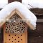 Insect house box
