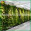Hot sale artificial green wall top quality artificial grass wall decor