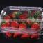 SELLING fresh fruit corrugated box packaging