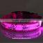 Blue Light Pet Shop Supplies Pug Pattern Pluto 2.5 CM Dual Side Light Collar For Dog