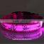 Pink Light Pet Shop Supplies Pug Pattern Retracable LED Dog Training Collar