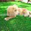 competitive price fake/ plastic artificial grass in Green for balcony