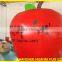 Inflatable Advertising, Retractable Banner Factory