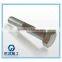 304 Stainless Steel Screw