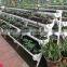 substrates hydroponic greenhouse for tomato cucumbers peppers lettuce