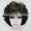 Dark Brown with Blonde short Women Ladies Daily Fluffy Wig N519