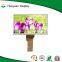 7 inch tft lcd module 800x480 with LVDS RGB interface with resistive touch panel