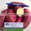 Export fresh Sweet potato for all market