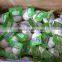 (NEW) 2015 China Fresh Garlic With High Reputation at Abroad
