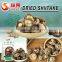 Natural Dry Shiitake Mushrooms Bulk Dried Mushrooms