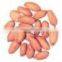 BEST QUALITY RED BOLD GROUNDNUT KERNEL