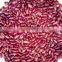 JSX excellent Chinese Purple speckled kidney beans