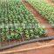 Agriculture water irrigation system