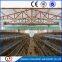 Professional automatic chicken feeding system with high quality