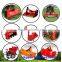 20-35HP Tractor Dragged Two Row Garlic Planter Machine
