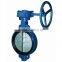 ANSI Cast Iron Butterfly Valve-Worm Gear Driven,DUCTILE IRON SWING CHECK VALVE