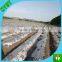 Agriculture and garden mulch plastic film