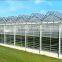 Galvanized Steel Structure Tempered Glass Greenhouse/Hydroponics Greenhouse/Commercial Greenhouse