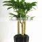 SJ030910 Factory wholesale garden decorative Brazil wood plant