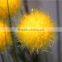 Home and outdoor garden table wedding gate decoration 60cm or 24inches Height artificial 3 heads yellow flowers E04 0615