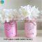 purple mason jars can as for vase