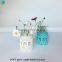 Glass Jar Vase