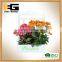 Square Wooden Planter Box, Garden Decor, Restaurant and Wedding Decorations Flowerpot
