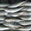land frozen horse mackerel frozen 20cm +