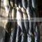 online store suppliers jack mackerel