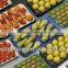 Mexico Food Grade PP Plastic 39*59cm Tomato Packaging Tray