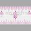 Kearing high quality garment Scale Rulers 1/4, 1/5,sanwich line flexible plastic ruler #8502