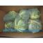 Fresh Xiamen Cabbage | Flat Cabbage | Hard Cabbage