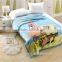 100%polyester baby raschel blanket cover