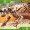 KAWAH Museum Artificial Educational Dinosaur Skeletons For Kids