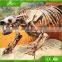 KAWAH High Quality Museum Exhibition Artificial T Rex Dinosaur Skeleton