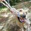 Free sample new style pet toy rope dog chew toy for large dogs
