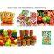 LONKIA CE Approved Vegetable Slice Blanching Machine Onion Kimchi Blanching Machine