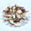 2020 New Crop 2 - 4 cm / 5 - 7 cm Top Grade Frozen Shiitake mushroom