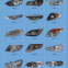 Luxury bus spare parts electric auto systems QA795-RH 796 Bus headlights
