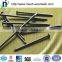 Best quality 2" Common Nails,square boat nails
