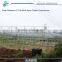 Plastic agriculture film greenhouse for sale