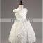 New model wholesale girls white lace applique princess frocks kids party dresses TR-WS35