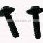 Factory carbon steel screw