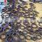 good quality oil seals small size at stock