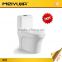 Sanitary Ware Siphonic One Piece Toilet Bowl